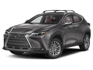 2025 Lexus NX