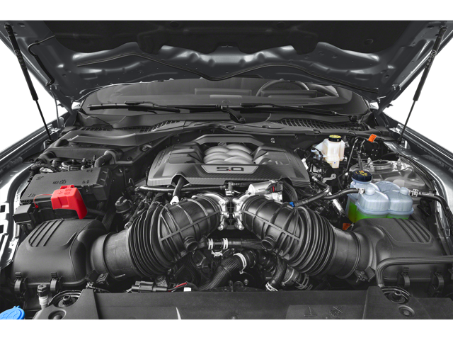 GT Mustang Rupert, WV