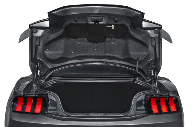 GT Mustang Rupert, WV